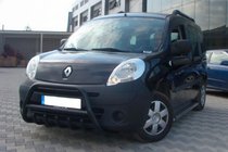 Renault Kangoo 2008–2020 Bull Bar WT003 Black Stainless Steel photo 4