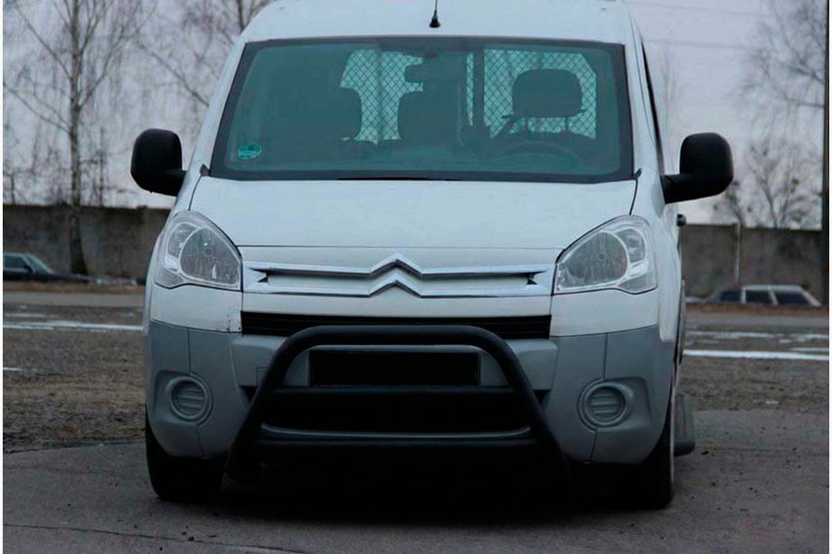 Peugeot Partner Tepee 2008-2018 Bull Bar WT022 Black (Stainless Steel) Image