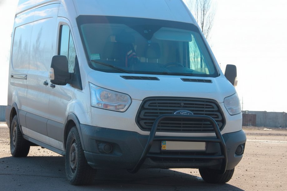 Ford Transit 2014- Bull Bar WT022 Black (Stainless Steel) Image