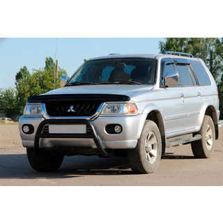 Bull Bar WT022 Black (Stainless Steel) photo 3