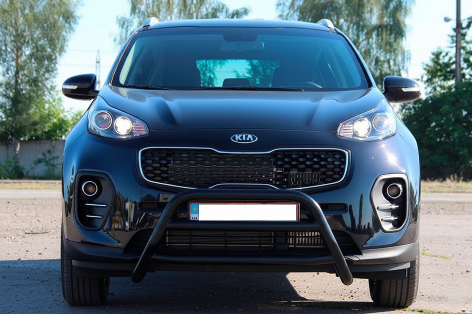 Kia Sportage 2015-2021 Bull Bar WT023 Black (Stainless Steel) Image