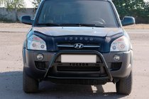 Hyundai Tucson JM 2004- Bull Bar WT025 Black (Stainless Steel) photo 3