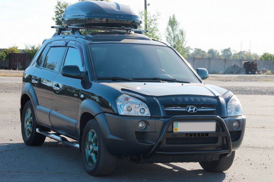 Hyundai Tucson JM 2004- Bull Bar WT025 Black (Stainless Steel) Image