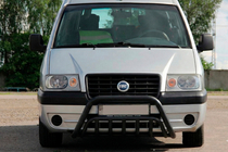 Citroen Jumpy 1996-2007 Bull Bar WT002 Black (Stainless Steel) photo 1