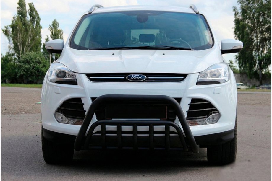 Ford Kuga/Escape 2013-2019 Bull Bar WT002 Black (Stainless Steel) Image
