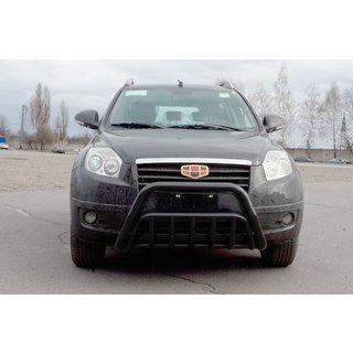 Bull Bar WT002 Black (Stainless Steel) photo 2
