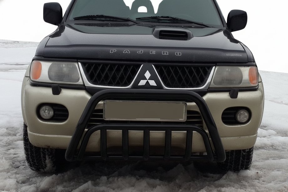Mitsubishi Pajero Sport 1996-2007 Bull Bar WT002 Black (Stainless Steel) Image