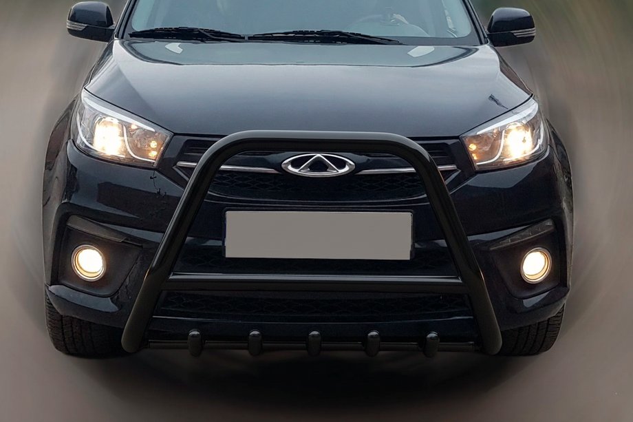 Chery Tiggo 3 2005- Bull Bar WT009 Black (Stainless Steel) Image