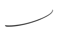 BMW 3 Series G20/G21 2018- Sunplex LIP Spoiler (for G20, black) photo 4