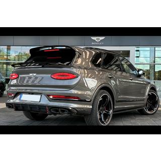 LRT-Design Carbon Body Kit photo 3