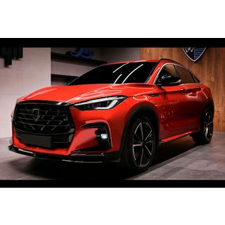 LRT-Design Body Kit (for 2021-2024) photo 2
