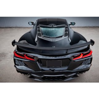 LRT-Design Carbon Body Kit photo 4