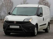 Fiat Doblo II 2010-2022 Bull Bar WT022 Black (Stainless Steel) photo 2