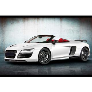 MNSR Carbon Body Kit (for Spyder) photo 3