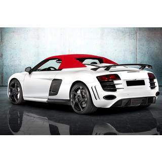 MNSR Carbon Body Kit (for Spyder) photo 2