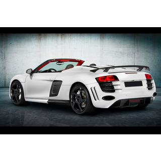 MNSR Carbon Body Kit (for Spyder) photo 4