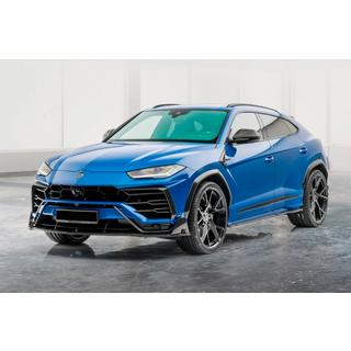 MNSR Carbon Body Kit (for 2018-2022) photo 1
