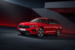 Skoda Octavia Combi RS: Review of the sporty estate photo 2