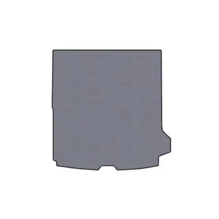 Rubber trunk mat (SW, gray) photo 1