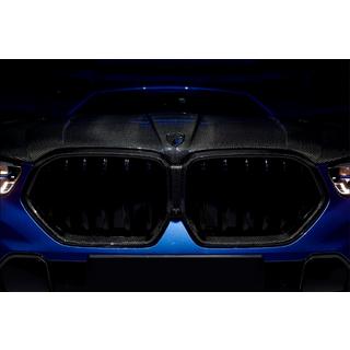 LRT Grille Surround (2023+, Carbon) photo 1
