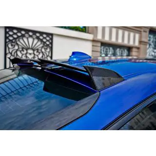 Rear Window Spoiler LRT (Carbon) photo 1