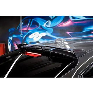Rear Window Spoiler LRT (Carbon) photo 3