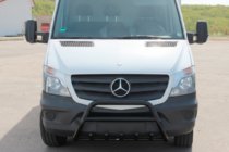 Mercedes Sprinter W906 2006–2018 Bull Bar WT003 (black) photo 3