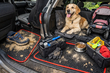 Kids, dog, daily rides: How to protect your car interior from sand and fur – top solutions where EVA mats are No.1 photo 1