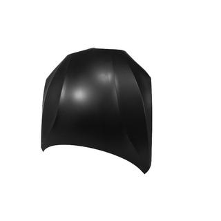 Hood (Aluminum) photo 2