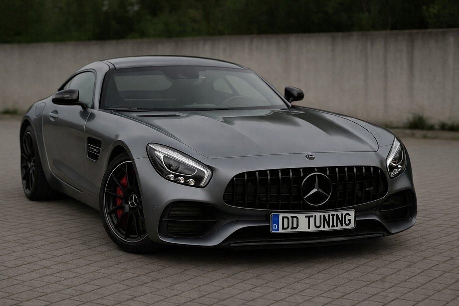 Mercedes AMG GT C190/R190 2014-2022 Front grille GT Panamericana Black (2014-2017) Image