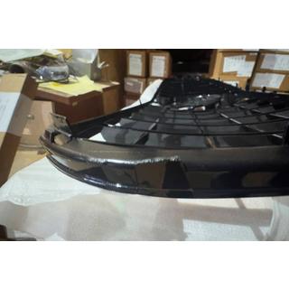 Clearance Front Grille 2019-2023 (GT Panamericana) photo 3