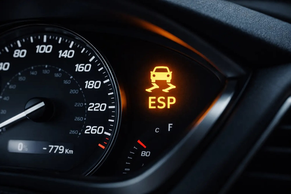 What does ESP mean in a car?