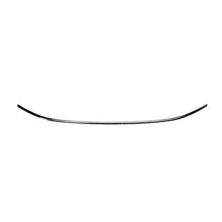 Clearance Front bumper trim 2020+ (stainless steel) photo 1