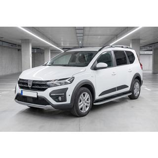 Side steps Tayga Grey (2 pcs, aluminum) photo 1