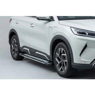 Rainbow Side Steps (2 pcs, Aluminum) BYD Atto 2/Yuan Up 2024– photo 1