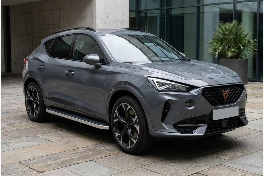 Cupra Formentor 2020- Side Steps Tayga Grey (2 pcs, Aluminum) Image