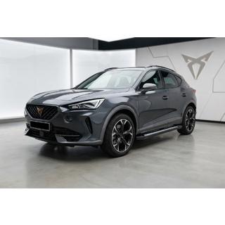 Side Steps Tayga V2 (2 pcs, Aluminum) Cupra Formentor 2020- photo 1
