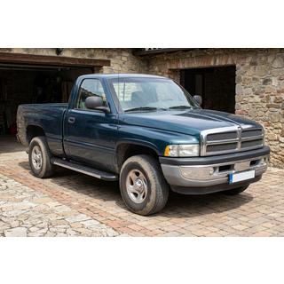 Side Steps Duru (2 pcs, Aluminum) Dodge RAM (BR/BE) 1994–2002 photo 1