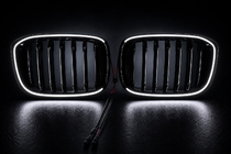 BMW X3 G01 2018- Kidney Grilles 1 Bar LED (2018-2021, Gloss Black) photo 5