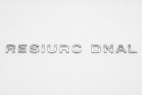 Toyota Land Cruiser Lettering Badge (60*3) photo 1