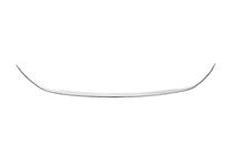 Fiat Doblo II 2010-2022 Trim around lower grille (2015↗, stainless steel) photo 2