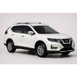 OEM Grey Roof Rails (ABS Plastic, Adhesive Mount)