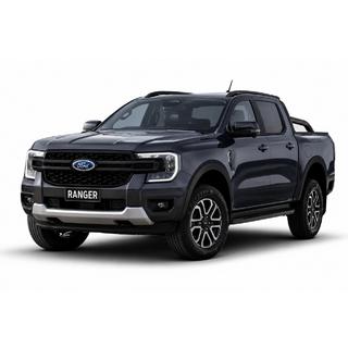 Black OEM roof rails (ABS plastic, adhesive mounting) photo 1