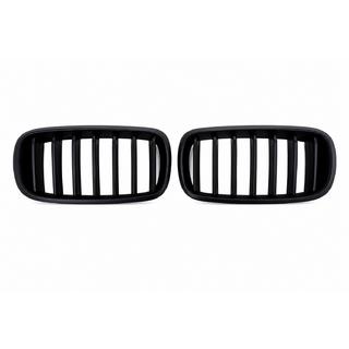 Kidney Grilles 1 Bar (matte black) photo 1
