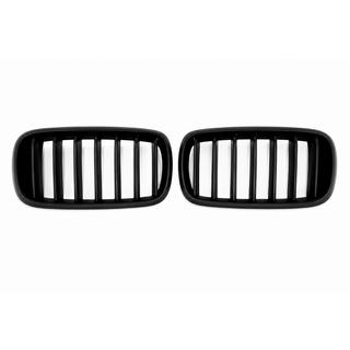 Kidney Grilles 1 Bar (matte black) photo 1