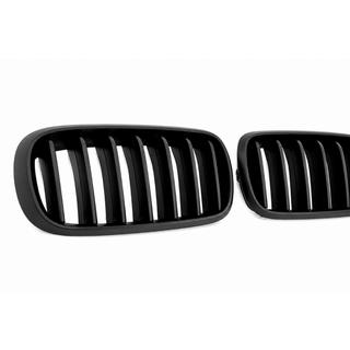 Kidney Grilles 1 Bar (matte black) photo 3