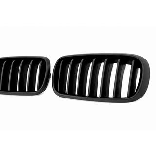 Kidney Grilles 1 Bar (matte black) photo 4