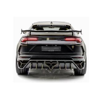 MNSR DRY Carbon body kit set with exhaust system (for 2018-2022) photo 2