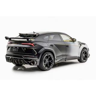MNSR DRY Carbon body kit set with exhaust system (for 2018-2022) photo 3