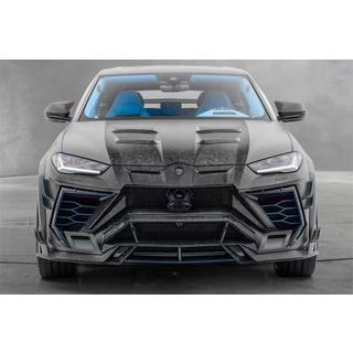 MNSR DRY Carbon body kit set with exhaust system (for 2018-2022) photo 1